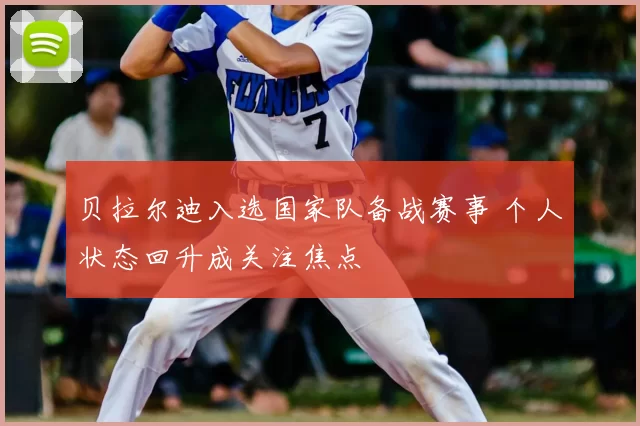 贝拉尔迪入选国家队备战赛事 个人状态回升成关注焦点