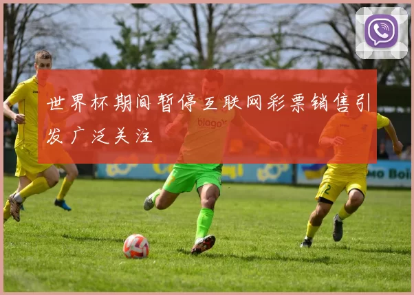 世界杯期间暂停互联网彩票销售引发广泛关注