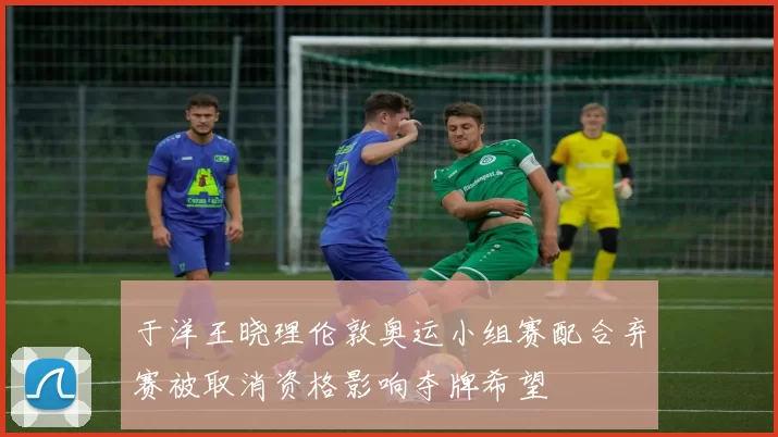 于洋王晓理伦敦奥运小组赛配合弃赛被取消资格影响夺牌希望