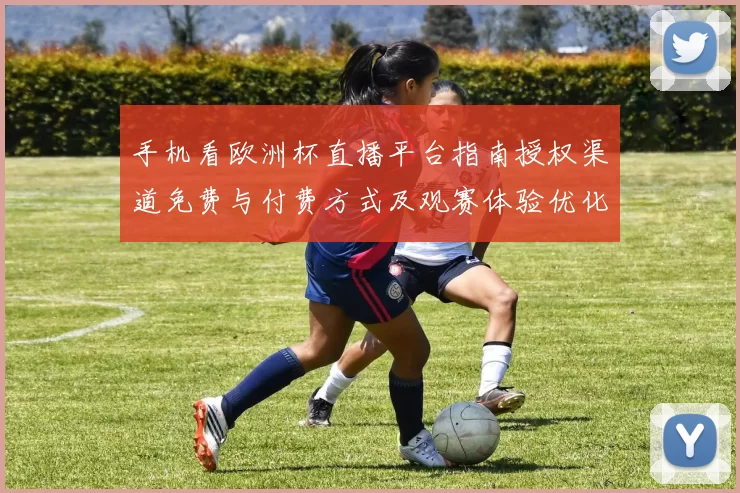 手机看欧洲杯直播平台指南授权渠道免费与付费方式及观赛体验优化