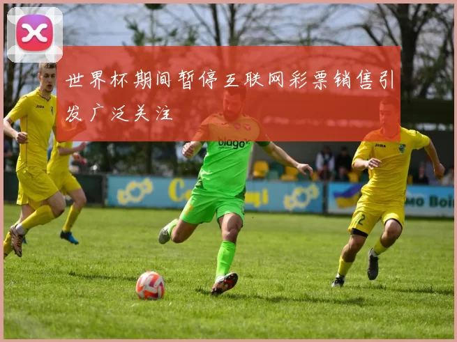 世界杯期间暂停互联网彩票销售引发广泛关注