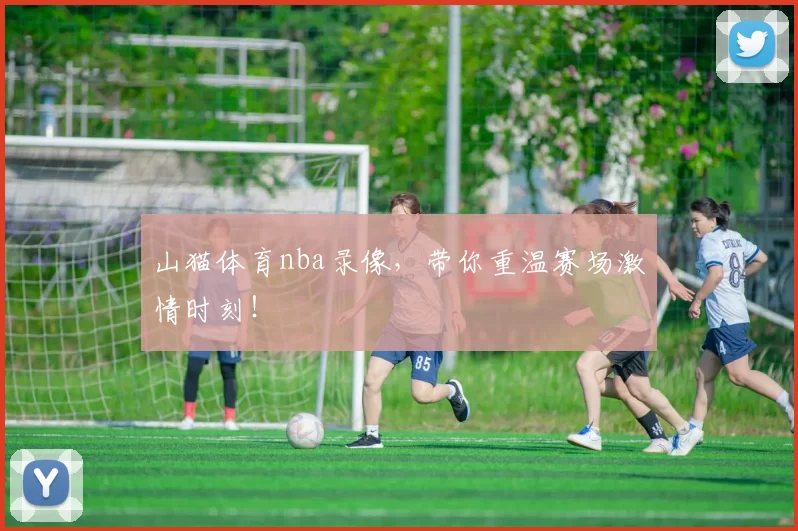 山猫体育nba录像,带你重温赛场激情时刻!