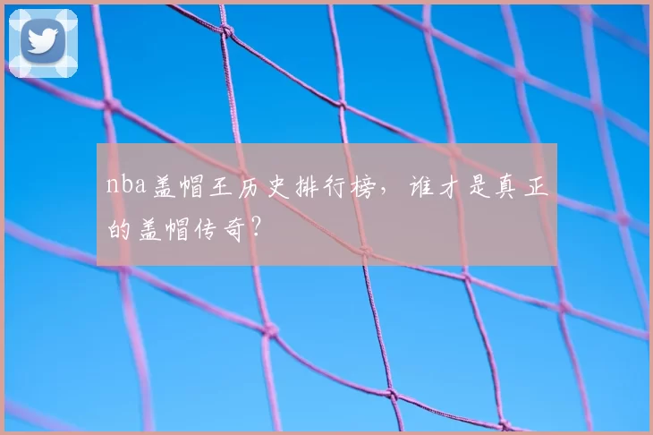 nba盖帽王历史排行榜，谁才是真正的盖帽传奇？