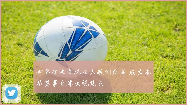 世界杯法国观众人数创新高 成为本届赛事全球收视焦点
