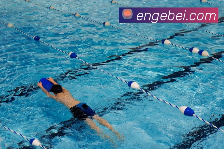 九游j9官网入口老版本平台生态图